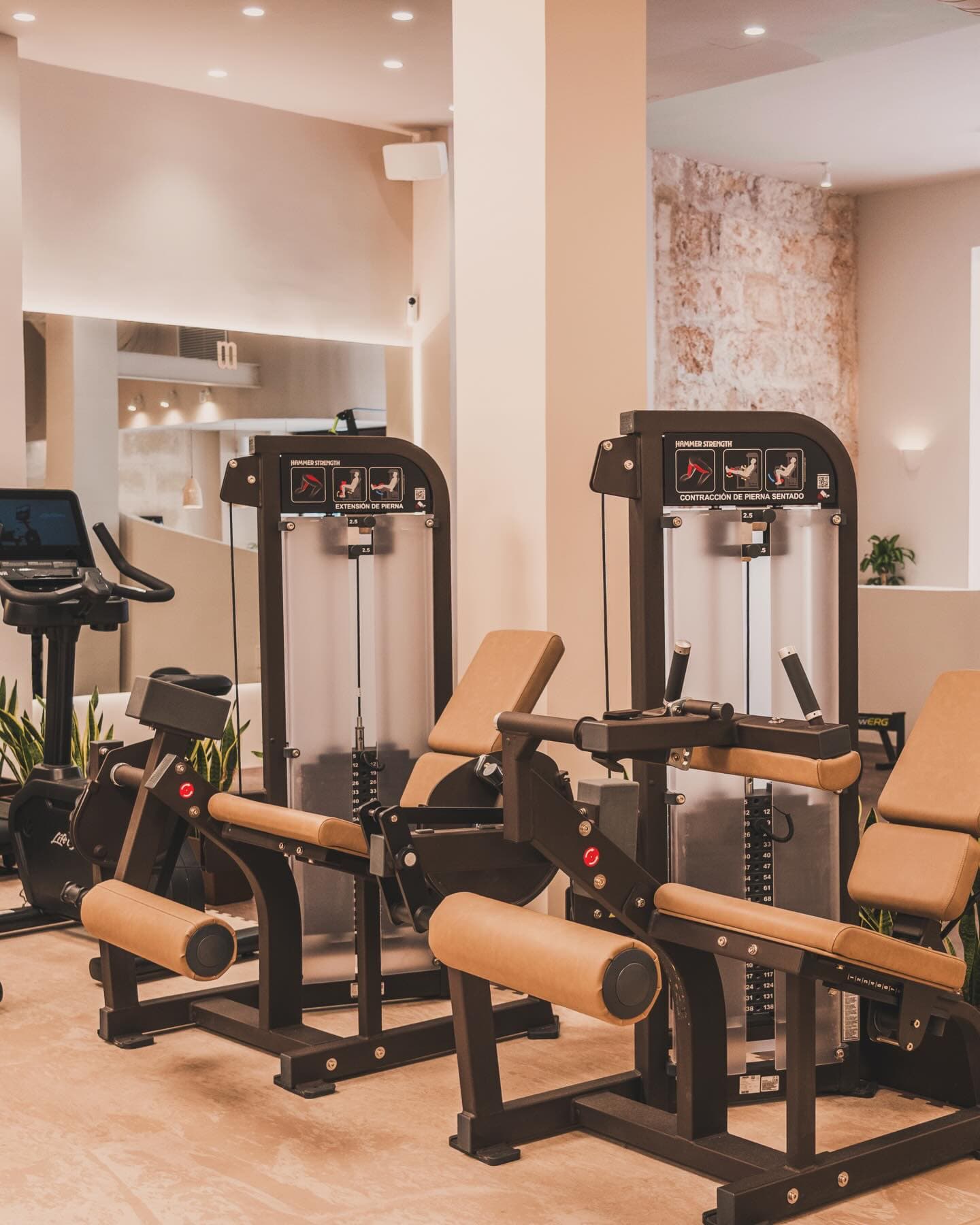 El Gimnasio